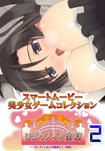 『アニメ』 ツゴウノイイ家族～Iカップいいなり兄嫁未亡人『晴香』～2 ...