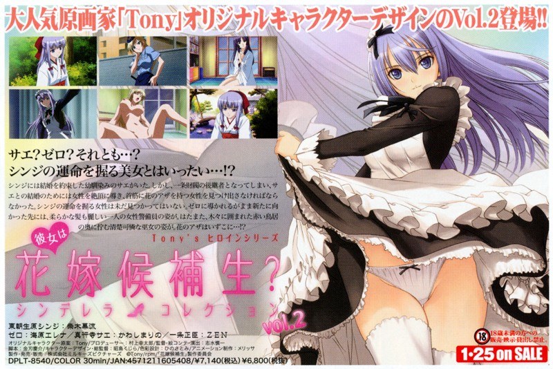 『アニメ』 彼女は花嫁候補生？ シンデレラコレクション vol.2 〖...