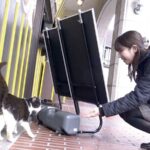 「足/脚」 人妻湯恋旅行 特別篇04 『FANZA』