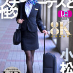 「足/脚」 【VR】【8KVR】憧れのスチュワーデスと性交 VR 小松杏 『FANZA』