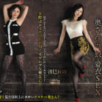 「足/脚」 いつもエロそうでセレブリティーな奥さんの卑猥な着衣SEX 清巳れの 『FANZA』