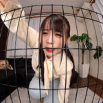 「足/脚」 【VR】服従の品位:Reverse 碓氷蓮 『FANZA』
