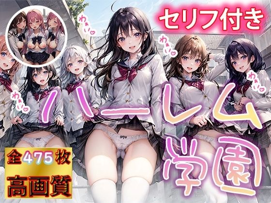 ＜同人＞ ヒミツの花園 ハーレム学園 『マンガ』