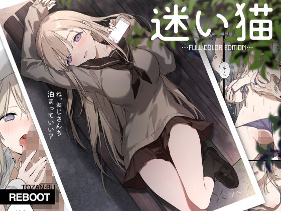 ＜同人＞ 迷い猫【フルカラー版】 『マンガ』