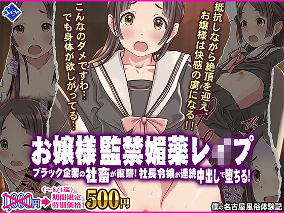 ＜同人＞ お嬢様監禁媚薬レ●プ-ブラック企業の社畜が復讐！社長令嬢が連...