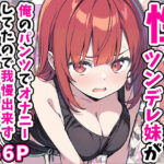 ＜同人＞ 性欲ムンムンツンデレ妹が俺のパンツでオナニーしてたので我慢出来ず膣内出しした話 『マンガ』