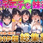 ＜同人＞ もっと！エチエチな妹達〜総集編〜 『マンガ』