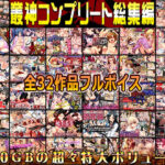 ＜同人＞ 叢神コンプリート総集編〜★超得32本パック★〜 『マンガ』