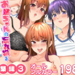 ＜同人＞ お姉ちゃんの忘れ物を届けに来たハズなのに…総集編3 『マンガ』