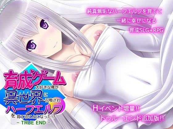 ＜同人＞ 育成ゲーム大好きな俺が異世界に召喚されハーフエルフを育てるこ...