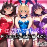 ＜同人＞ キセカエオナペット -F◯te stay night篇 その2- 『マンガ』