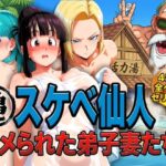 ＜同人＞ 亀スケベ仙人にハメられた弟子妻たち 『マンガ』