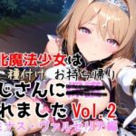 ＜同人＞ 敗北魔法少女は種付けおじさんにお持ち帰りされました  vol.2  ルミナス・ヴァルセリア編 『マンガ』