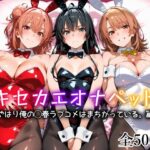 ＜同人＞ キセカエオナペット -やはり俺の◯春ラブコメはまちがっている篇- 『マンガ』