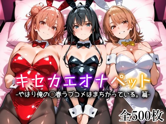 ＜同人＞ キセカエオナペット -やはり俺の◯春ラブコメはまちがっている...