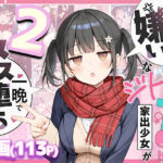 ＜同人＞ セックスが嫌いなジト目TS家出少女を一晩でメス堕ちさせた話2〜亀甲縛り露出セックスで性欲覚醒編〜 『マンガ』
