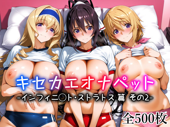 ＜同人＞ キセカエオナペット -インフィニ◯ト・ストラトス篇 その2-...