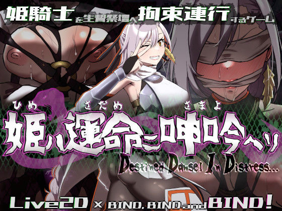 ＜同人＞ 姫ハ運命ニ呻吟ヘリ Destined Damsel In D...