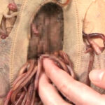 『フェチ』 湯蟲に屍液と泥獣に纏い雌襞 「DUGA」