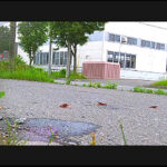 『フェチ』 【復刻版】ザリガニが踏みにじられ自転車に轢き殺される 「DUGA」