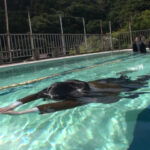 『フェチ』 第3種目 潜水対決 「DUGA」