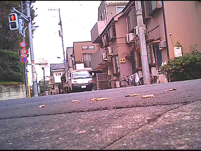 『フェチ』 女子大生が靴底にイモムシを貼りつけて歩き去る！ 「DUGA...