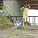 『フェチ』 短靴やサンダルでヒキガエルを踏むあどけない女の子！ 「DUGA」