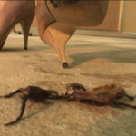 『フェチ』 害虫駆除 リターンズ2 「DUGA」