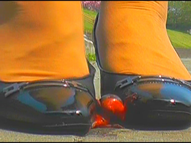 『フェチ』 パンプスのツマ先とヒールがイモリの頭を踏み潰す！ 「DUG...