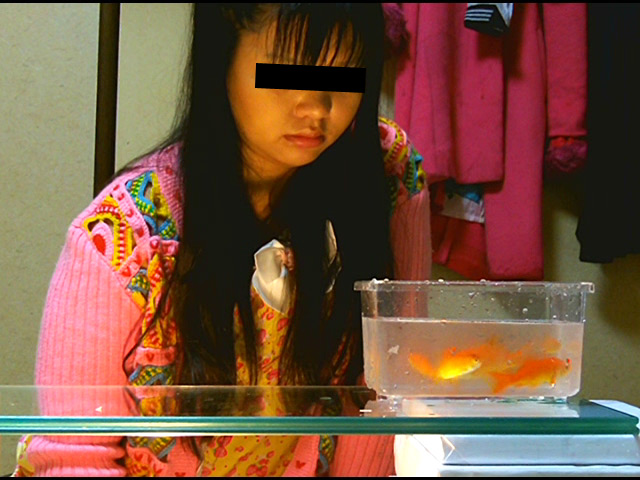 『フェチ』 黒髪少女が金魚を素手で握りつぶしナマ足で踏み潰す！ 「DU...