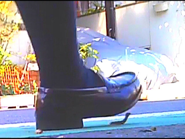 『フェチ』 ローファーがカタツムリ・イモムシ・ダンゴ虫を踏み潰す 「D...