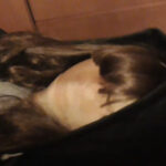 『フェチ』 ゼンタイサウナ地獄2 「DUGA」