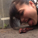 『フェチ』 野外うんこ犬喰い女＆うんこお漏らし＆女盗 鳥海かすみ 「DUGA」