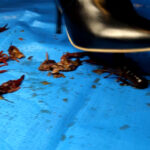 『フェチ』 みくちゃんのザリガニにされた罪人処刑 最終章 「DUGA」