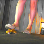 『フェチ』 白パンプスで踏み潰されるヒキガエルとアマガエル 「DUGA」