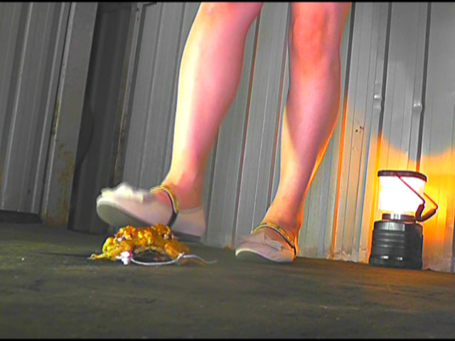 『フェチ』 白パンプスで踏み潰されるヒキガエルとアマガエル 「DUGA...