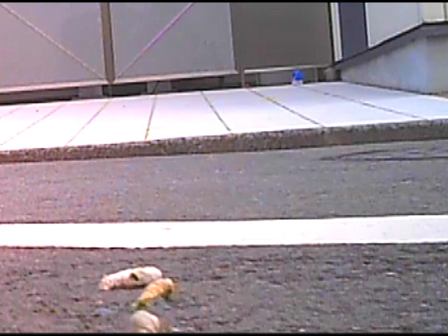 『フェチ』 女子大生のサンダルやスニーカーがイモムシを踏み潰す！ 「D...