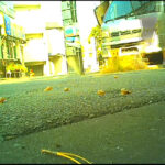 『フェチ』 カタツムリとコオロギが女子大生と妖精に踏み潰される！ 「DUGA」