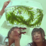 『フェチ』 JK2人にサディスティックにイモリを踏んでもらいました 「DUGA」