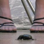 『フェチ』 PRESS-1 「DUGA」