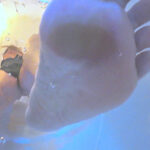 『フェチ』 肉感的バーチャ圧迫責めPART3 「DUGA」