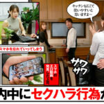 『フェチ』 顔面接吻 ～ベロで顔を犯●れる～ 広仲みなみ 「DUGA」