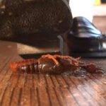 『フェチ』 アイドル級美少女にローファーで踏み潰されたい 「DUGA」