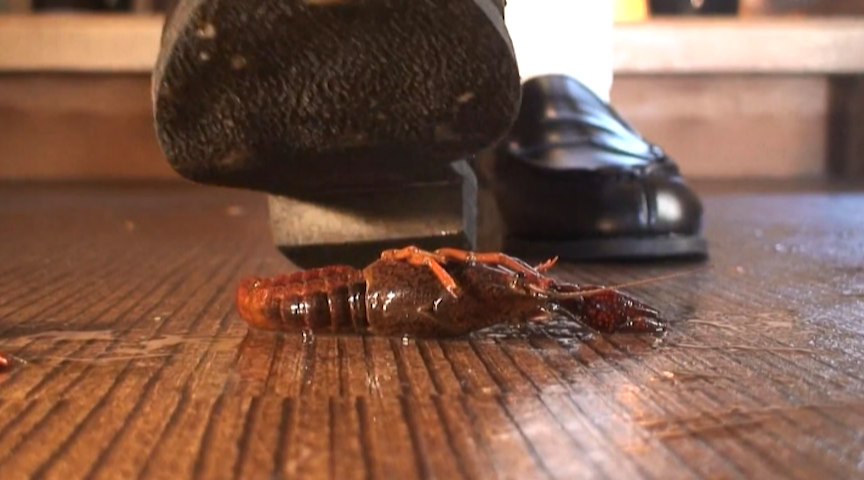 『フェチ』 アイドル級美少女にローファーで踏み潰されたい 「DUGA」