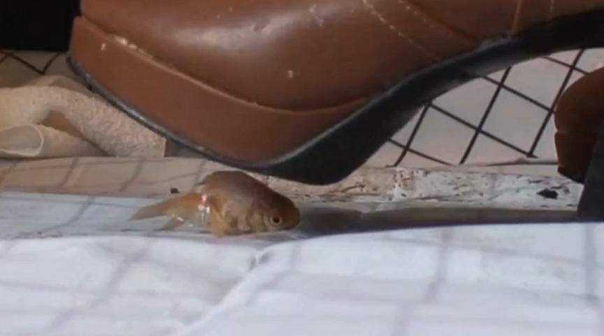 『フェチ』 みくちゃんのコスプレブーツで金魚CRUSH VOL2 「D...