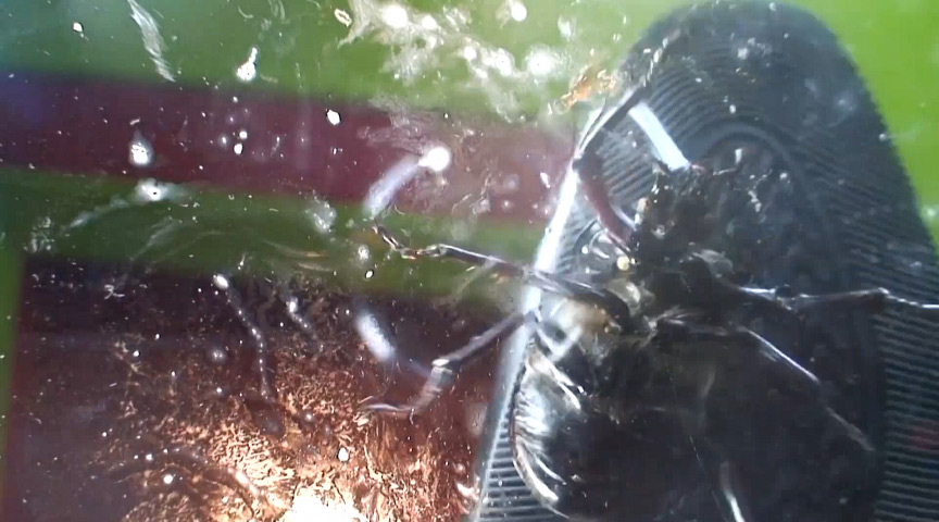 『フェチ』 ガラステーブル、パンプスでカブト○○クラッシュ VOL1 ...