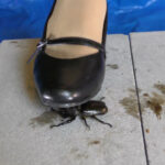 『フェチ』 復刻版めいの私服パンプスでカブトム○クラッシュ VOL2 「DUGA」