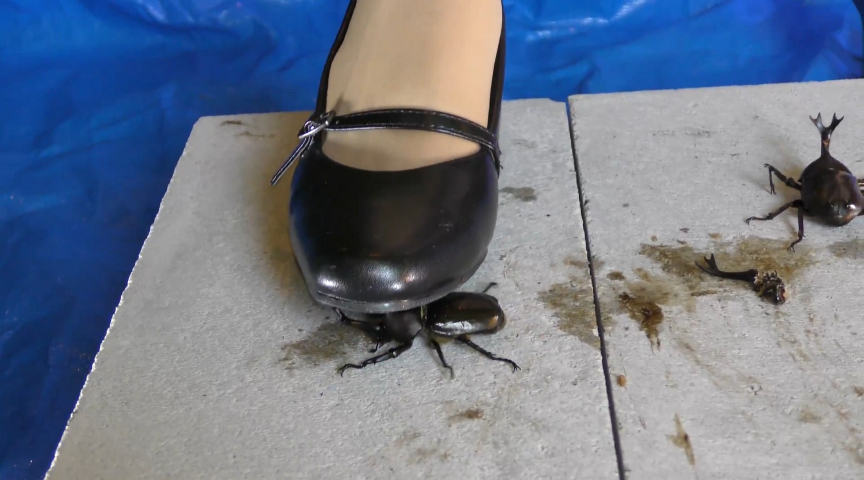 『フェチ』 復刻版めいの私服パンプスでカブトム○クラッシュ VOL2 ...