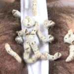 『フェチ』 蚕桑に纏い雌濁が蚯蚓に螺混 「DUGA」