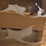 『フェチ』 【足のにおい】野球グローブ肉厚 「DUGA」